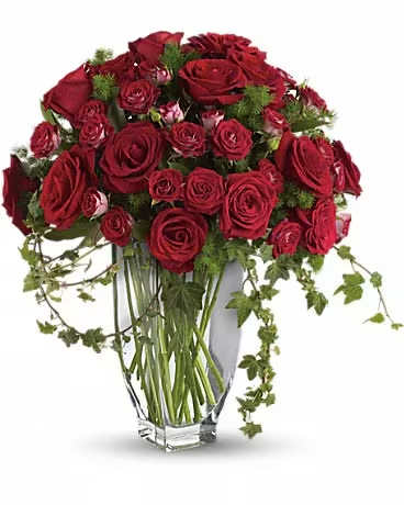 T231-1A Rose Romanesque T231-1A Rose Romanesque - Brilliant red roses and spray roses along with vibrant fern and ivy are perfectly arranged