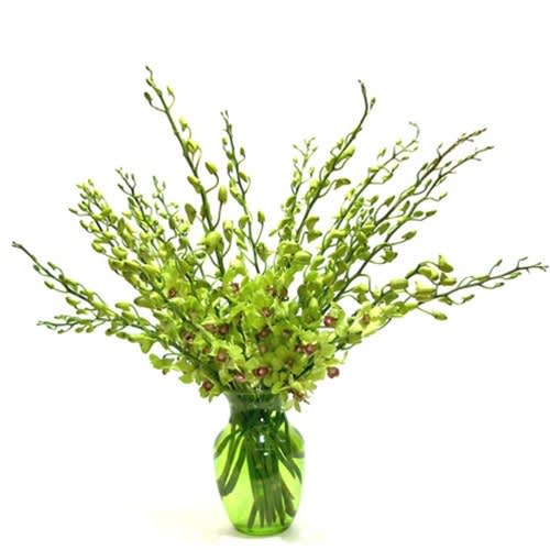 Green orchids - Combine the exotic with the Irish and what do you get?   Green dendrobium orchids!