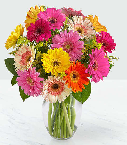 Sparkling Gerbera - A vase of (3 different color) assorted Gerbera.    Please advise us if you have any special colors in mind; otherwise, we will use the freshest colors on the market.   Pictured is our deluxe version of 20 stems of gerbera.