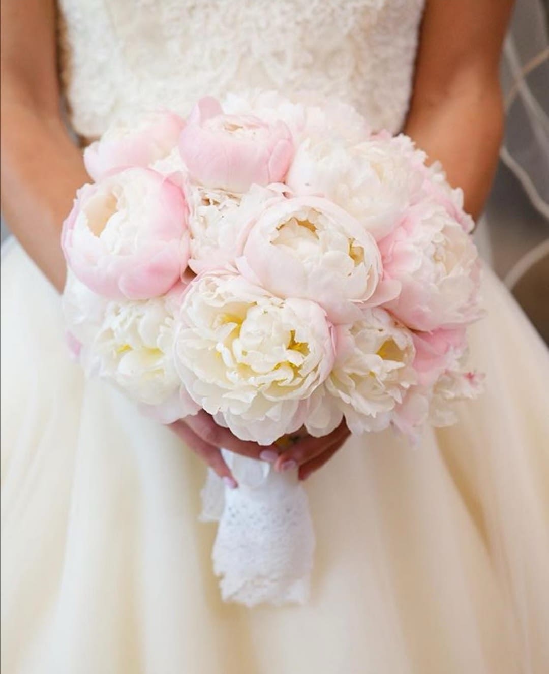 Perfect Peony Bouquet Perfect Peony Bouquet - 24 peonies bounds closely to create a perfect sphere of elegance and beauty. Available seasonally in pink or white.