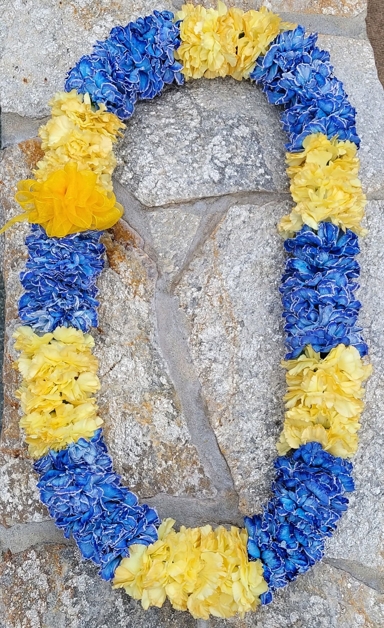 2 Kala Pua Nani Lei - SPECIAL LEI ORDER INSTRUCTIONS: FOR OPTION TO PICK UP YOUR ORDER, PLEASE CALL OR TEXT 858-598-3844  IF ORDERING FROM THE WEBSITE, PLEASE LET US KNOW YOUR COLOR PREFERENCE UNDER NOTES FOR THE FLORIST  When you give someone a Hawaiian lei, it is a heartfelt gift of love, friendship, appreciation, accomplishments, honor, and respect. Great for birthday celebrations, graduations, anniversaries, weddings, special events, funerals, paddle outs, promotions, etc. Made with Aloha. Leis can be custom made with many different color options. For custom made orders please text or call 858-598-3844  Leis Substitution Policy In some instances, our photo may represent an overall theme or look and include a one-of-a-kind which cannot be exactly replicated. Although the actual lei may not precisely match the photo, its temperament will. Occasionally, substitutions of flowers happen due to weather, seasonality and market conditions which may affect availability. If this is the case with the lei you've selected, we will ensure that the style, theme and color scheme of your arrangement is preserved and will only substitute items of equal value or higher value. If any design elements are of major importance to your order, please include them in the florist instructions at checkout or contact us to ensure availability