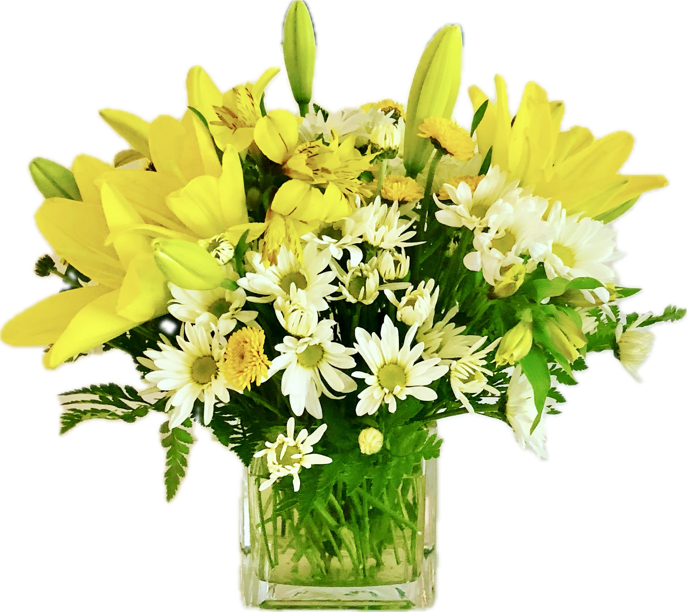 Spring Sunshine Bouquet  - This colorful and bright floral design is made with yellow lilies, white daisies, yellow button flowers, and yellow alstroemerias with greenery on a square or round clear glass vase.