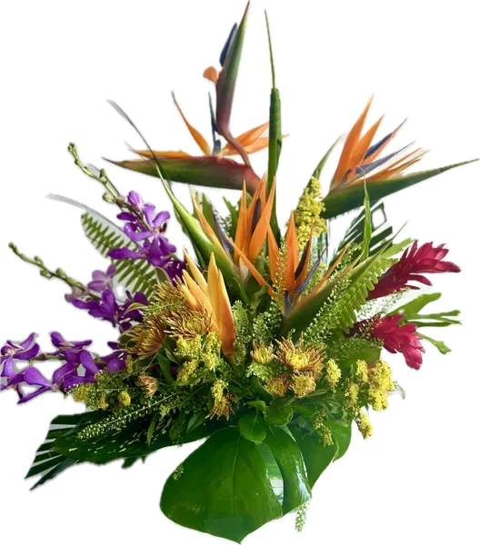 Exotic Paradise Bouquet - This beautiful exotic tropical arrangements is colorful made with Birds of paradise, Perot heliconias, ginger, orchids and tropical foliage perfect for any events will very attractive for your special party.