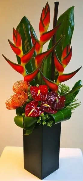 Tropicana Bouquet - The Tropicana Bouquet is beautiful and elegant perfect for a party or any event the tropical and colorful flowers will make you party like you are in paradise and is made with heliconias, anthuriums, pincushions, and tropical greenery in a black ceramic vase  