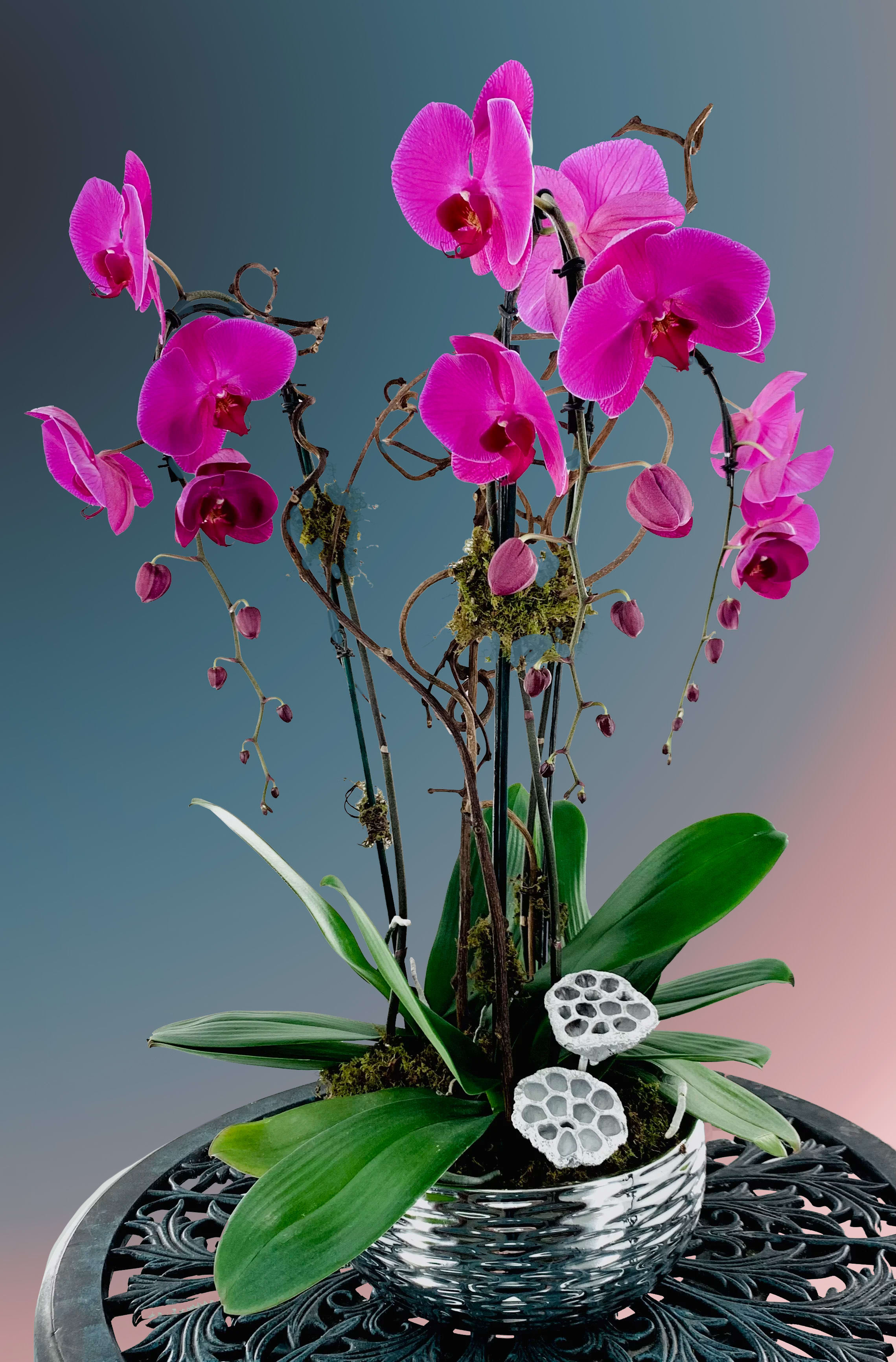 Triple Orchid Plant Triple Orchid Plant - Tall phaleanopsis orchid plants arranged in this metallic silver ceramic container.