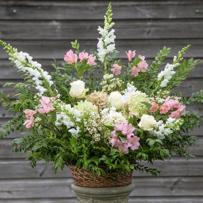 Grand Sympathy Basket - Snapdragons, alstroemeria, p.g. hydrangeas, stock, sedium, and rosita vendella roses in a grapevine basket. 