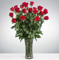 Two Dozen Long Stemmed Roses  - These two dozen red roses provides the classic romantic gift. It's perfect for Valentine's Day or an Anniversary. APPROXIMATE DIMENSIONS: 30&quot; H X 22&quot; W