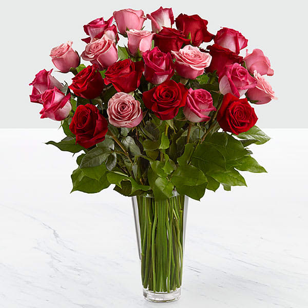 2 Dozen Roses-True Romance - 2 dozen red and pink roses in vase. PLEASE NOTE: Colors and shades of flowers may vary from photo. 