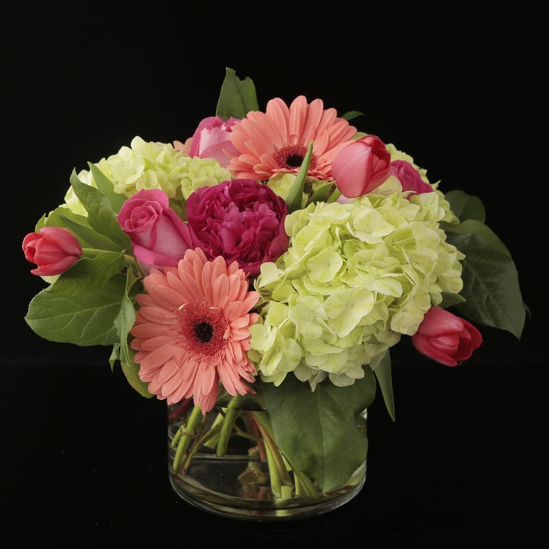The Jessie The Jessie - This festive and snappy bouquet of peach gerbera daisies, hot pink tulips, green hydrangeas and hot pink roses is certain to energize any occasion. SUBSTITUTIONS WILL BE MADE IF CERTAIN FLOWERS ARE NOT AVAILABLE
