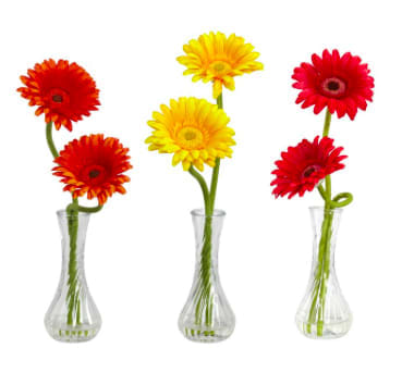 Gerber Daisy's with bud vases 3 piece set - 3 Separate Gerber Daisy Arrangements each in a bud vase