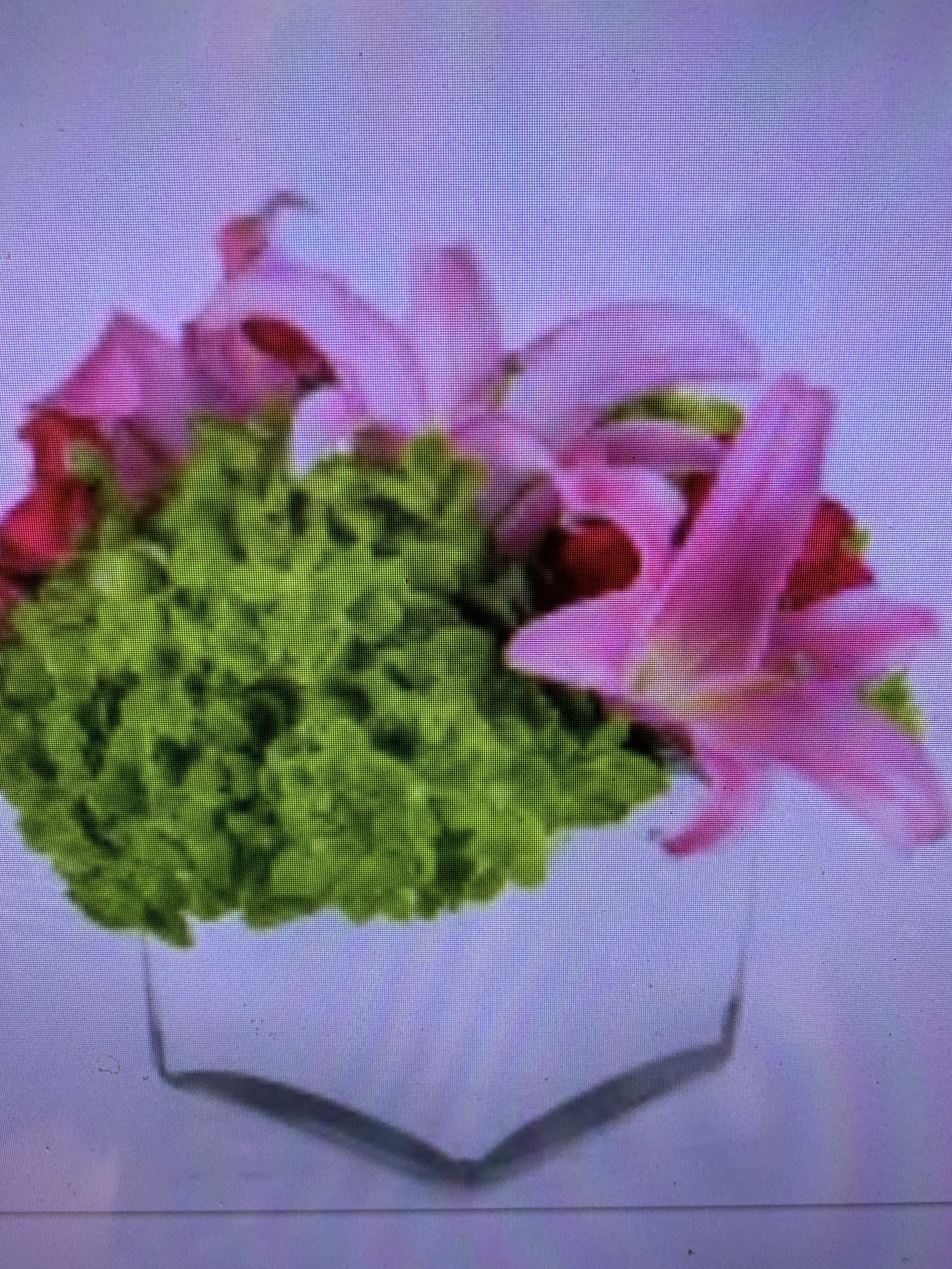 bright & lively bright & lively - lilies and hydrangra