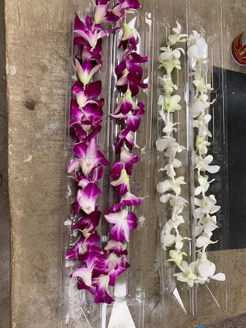 orchid orchid - lei come in all colors please let us know you color