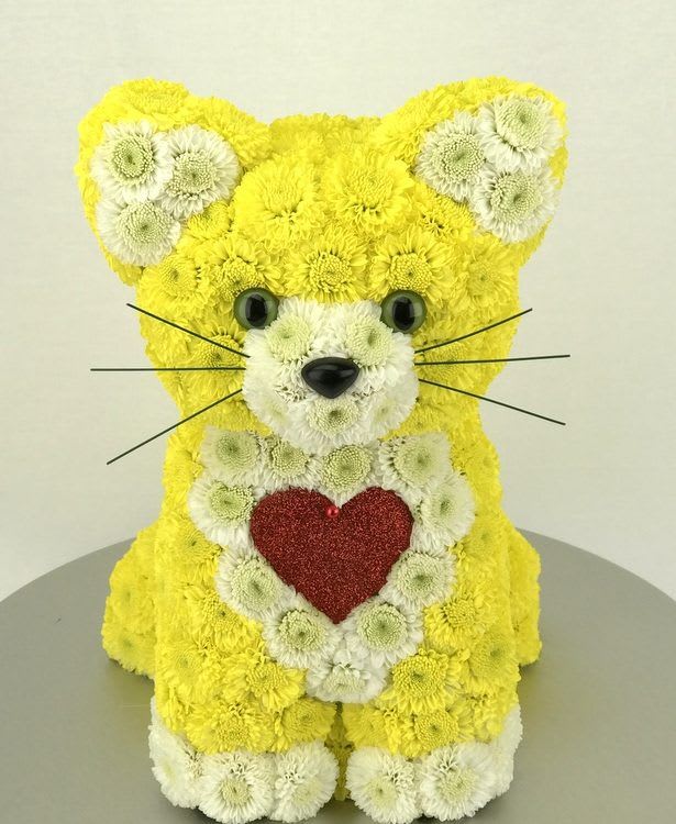 Oasis Cat With Seasonal Flowers. Oasis Cat With Seasonal Flowers. - Designers choice of unique one of a kind Kitty.