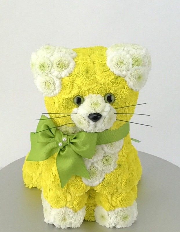 oasis cat with flowers - cat