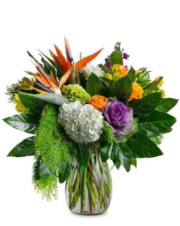 Tropical Smoothie - A colorful combination of vibrant blooms blended together for this tasty arrangement featuring hydrangea, kale, bird of paradise, roses, alstroemeria and stock with Florida foliate like aralia and arborvitae in a taller clear glass vase appropriate for an entry table or kitchen island.  Approximately 22&quot; W X 24&quot; H   Orientation: All-Around  All prices in USD ($)  Standard  DGTMF-1334