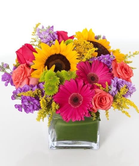 Summer 3 Summer 3 - Bright colored sunflowers gerbera daisies roses in a cube vase perfect for summer Same day Tulsa flower delivery #sunflowersale #birthdayflower #birthdaygift #sunflower #birthday #hotsummer #weekend #saterdaydelivery #flowergirls www.flowergirlsoftulsa.com #springflower #flowerarrangement #saintJohnsHospital #saintfrancishospital #oklahomasurgicalhospital #Hillcresthospital #southcresthospital #cancertreatmenthospital #SaintFrancissouthhospital #saintjohn'sbrokenhospitalarrow #oklahomasurgicalhospital #osuhospital #bewell #getwell #feelbettersoon #Samedaydelivery #VACATION #SUMMERFUN #HOTSUMMER #HOTFUN #BIKINIWEATHER