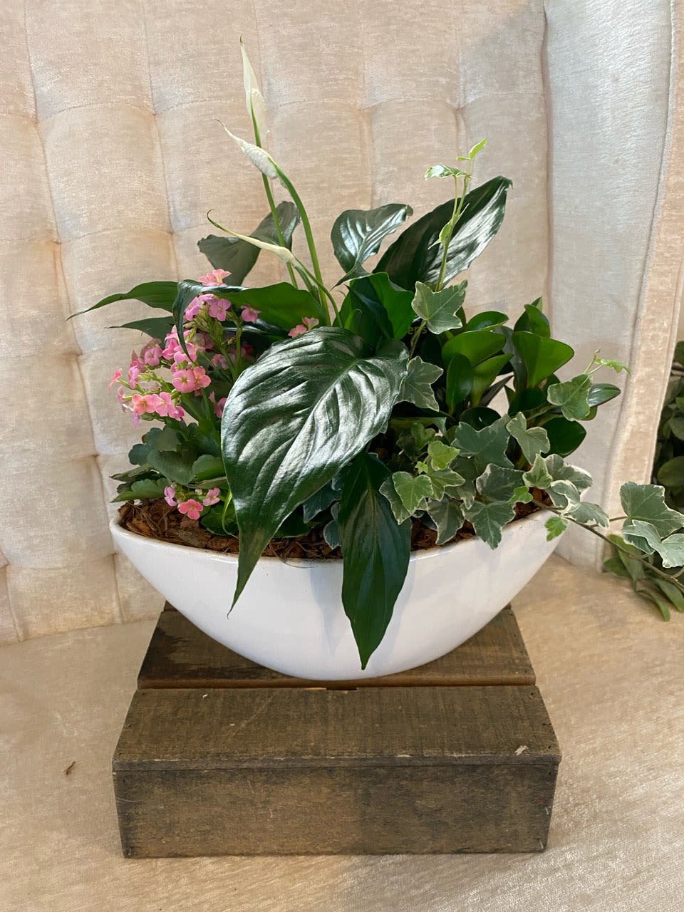 Planter Planter - We have a variety of planters ranging in price and plants