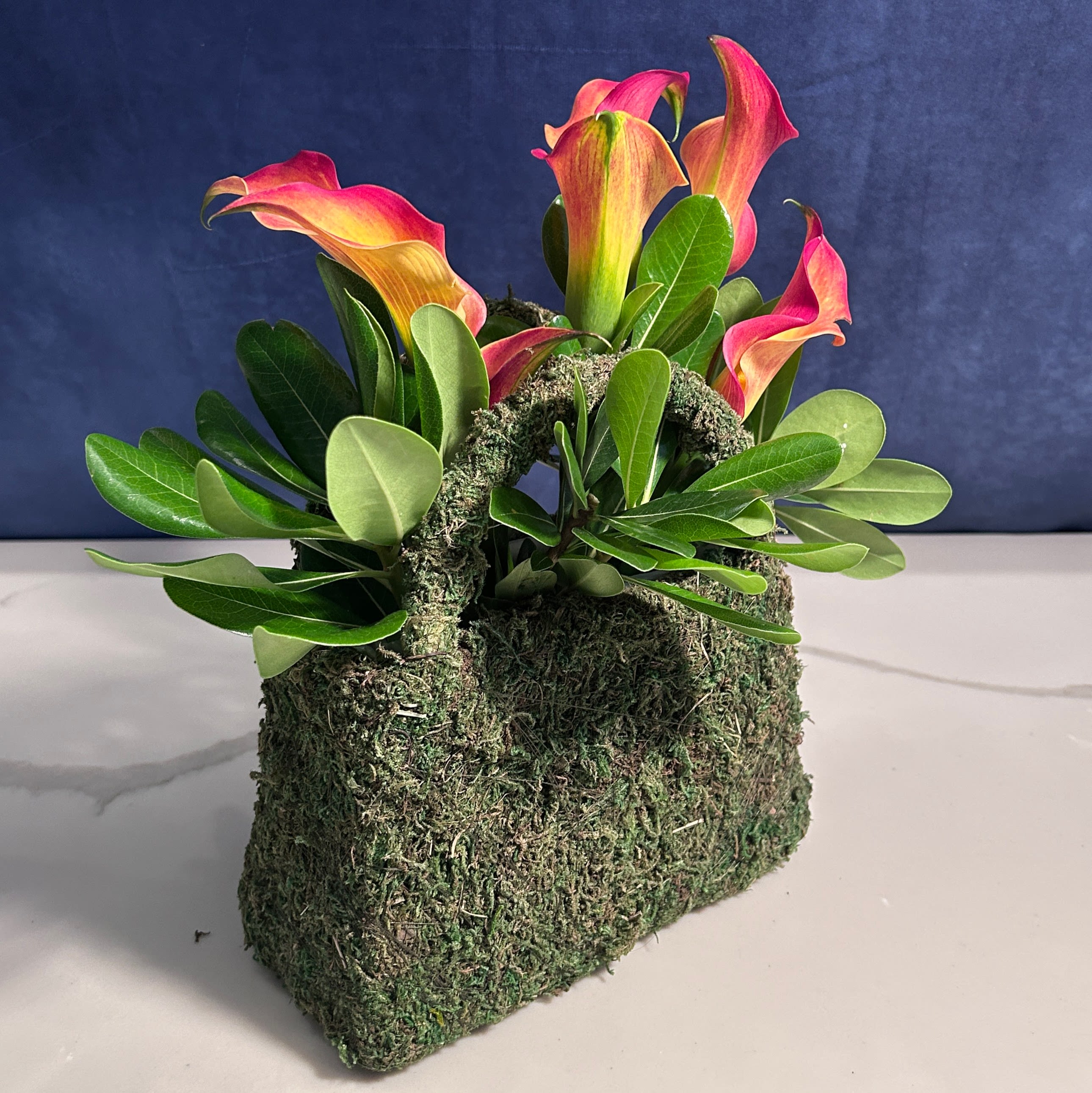 Up, Up, and Away - An explosion of bright miniature calla lilies framed in a bed of greens in an earthy moss purse. 