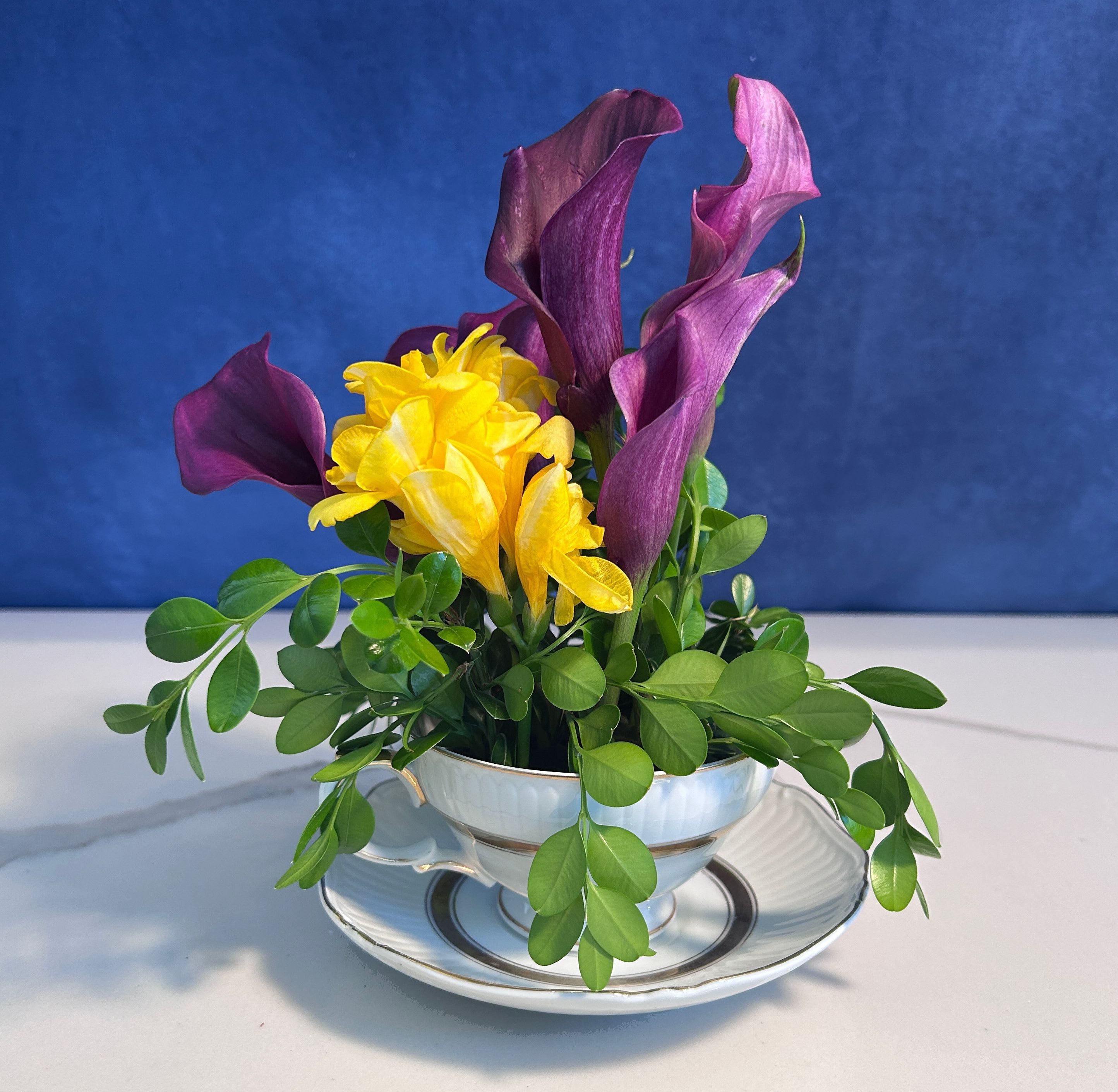 Vega’s Teacup - A mighty display in a tiny package! Yellow freesia and deep purple miniature calla lilies on a bed of premium greens. 