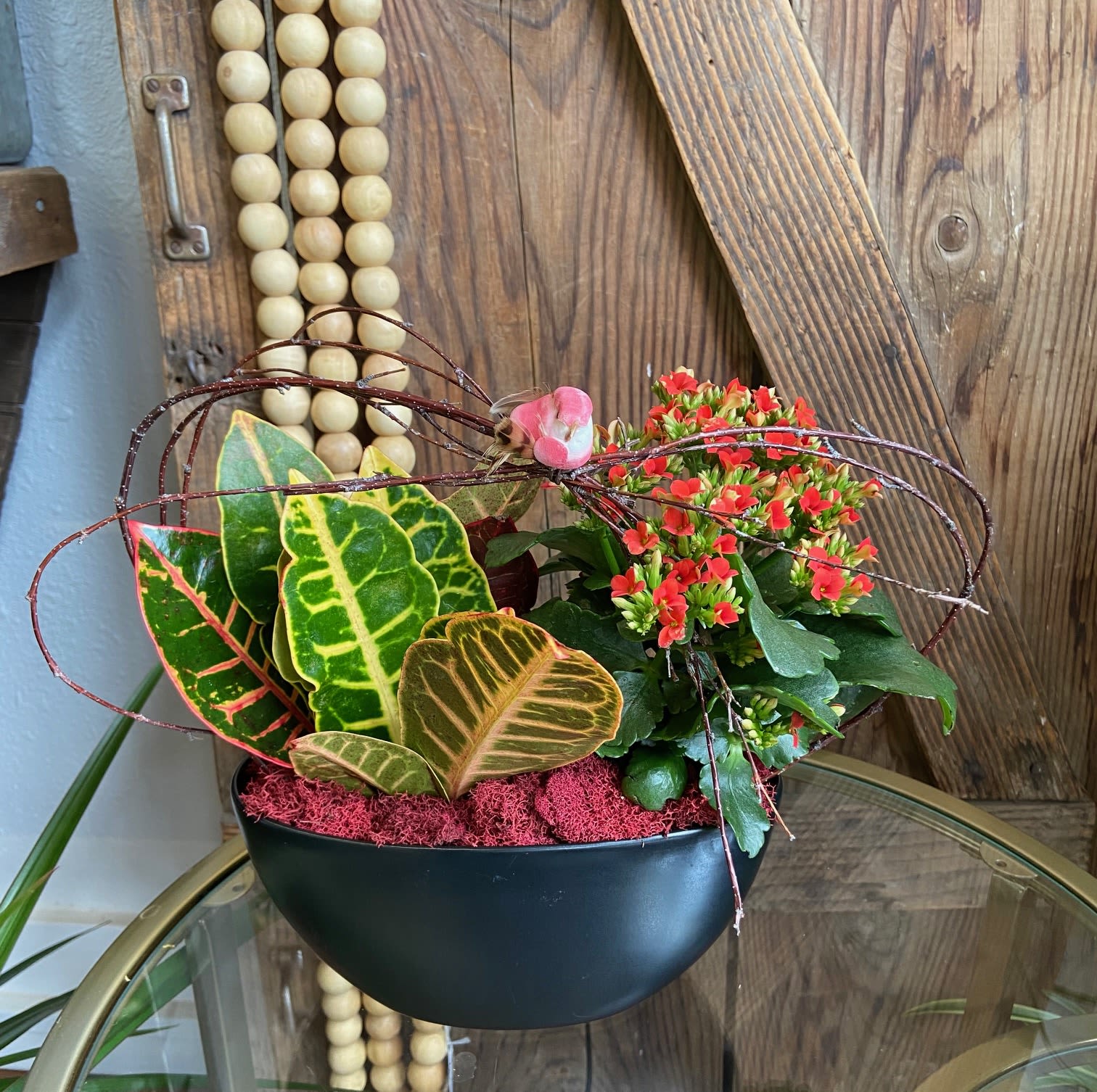 Houseplant HOTTIE Houseplant HOTTIE - Modern black ceramic bowl filled with green and blooming plants dressed to impress!