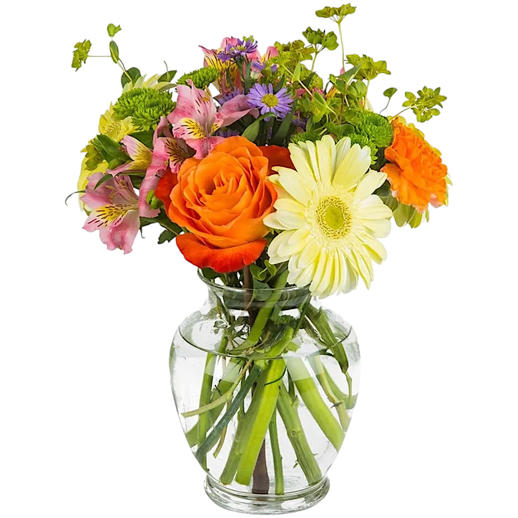 Carnival by BloomNation™ - This bouquet is festive and perfect for any celebratory occasion. It is the perfect gift to celebrate Mother's Day, birthdays, and new beginnings, and for a Get-Well gift.   DETAILS The arrangement includes roses, carnations, Matsumoto aster, and alstroemeria.  VASE INCLUDED Orientation: All-Around Item #NF-934  FLORIST-TO-DOOR Same day flower delivery on most orders placed online by 12 pm or 10 am on weekends PST.  BLOOM DETAILS Rose Carnation Gerbera Daisies Alstroemeria Button Mums Seasonal Filler Greenery  The Standard Arrangement is approx. 12&quot; D x 13.&quot; H. The Deluxe Arrangement is approx. 12.5&quot; D x 13.5&quot; H. The Premium Arrangement is approx. 13&quot; D x 14&quot; H.  How to place an order?  1. You can place an order directly on this secure website. OR 2. You can call in your order by dialing: (323) 262 - 9238 OR 3. You can visit our store (appointment recommended 323.262.9238)  NINFA'S FLOWERS 2405 WHITTIER BLVD. LOS ANGELES, CA. 90023  ATTENTION: *Please note that on busy holidays, Valentine's Day, and Mother's Day, we cannot verify if the recipient received the flowers until the following day. You can verify delivery on the website after 10:00 pm, call 323.262.9238 the following day after 10:00 am, or contact the recipient directly. Thank you for your patience and understanding.