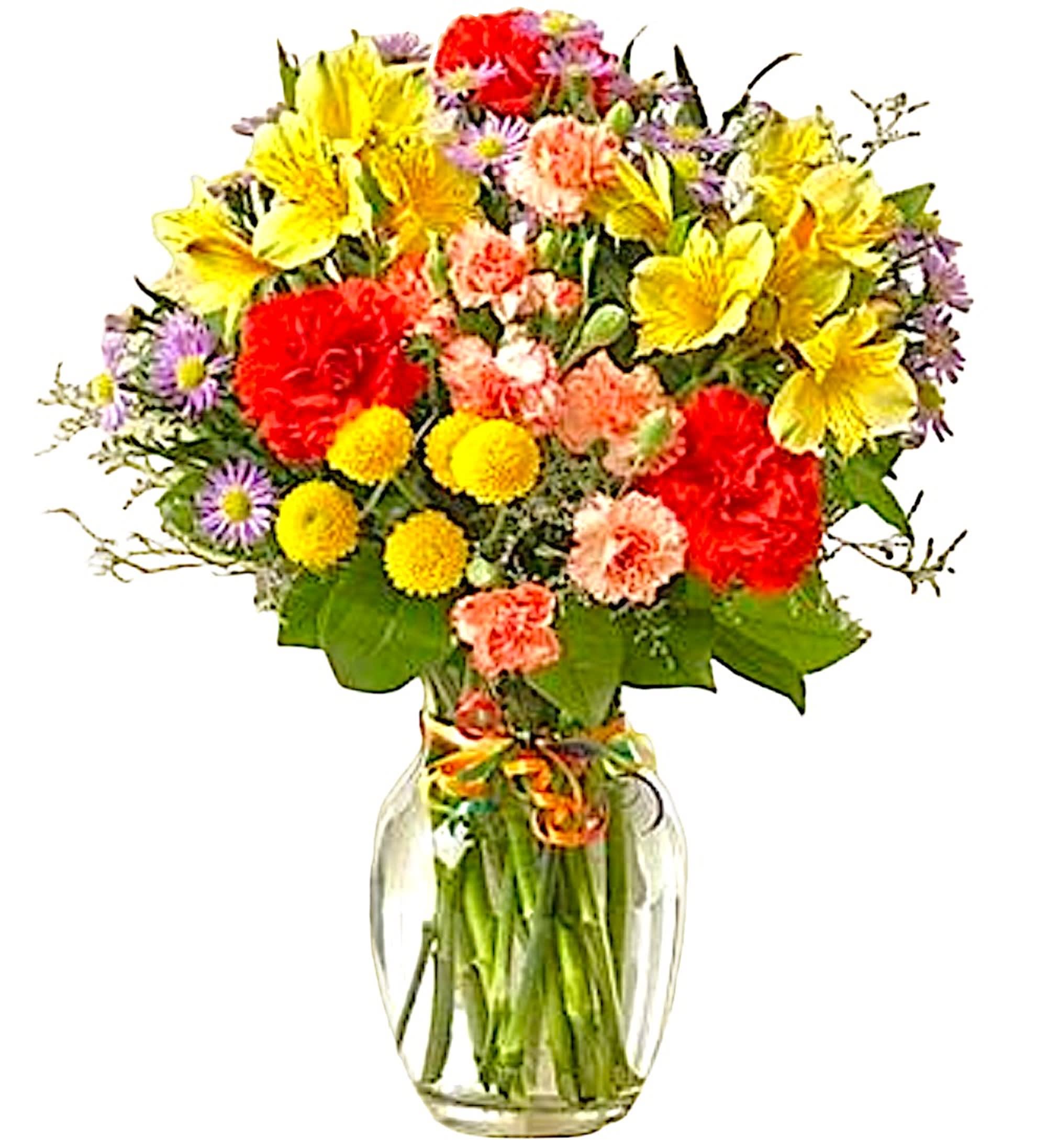 Celebrate Today Flower Arrangement - The name of this brilliant arrangement definitely says it all. In life, there's always something to celebrate so don't allow the moment to pass. This arrangement is perfect for a birthday, get well, congratulations, just because, etc.   DETAILS Colorful Carnation Variety, Alstroemeria &amp; Button Poms.  VASE INCLUDED Orientation: One-Sided Item #NF-32  FLORIST-TO-DOOR Same day flower delivery on most orders placed online by 12 pm or 10 am on weekends PST.  BLOOM DETAILS Carnations Mini Carnations Alstroemerias Button Mums Seasonal Filler Greenery  The Standard Arrangement is approx. 9&quot;W x 14&quot;H The Deluxe Arrangement is approx.10&quot; W x 15&quot;H The Premium Arrangement is approx. 11&quot;W x 16&quot;H  How to place an order?  1. You can place an order directly on this secure website. OR 2. You can call in your order by dialing: (323) 262 - 9238. OR 3. You can visit our store (appointment recommended 323.262.9238)  NINFA'S FLOWERS 2405 WHITTIER BLVD. LOS ANGELES, CA. 90023  ATTENTION: *Please note that on busy holidays, Valentine's Day, and Mother's Day, we cannot verify if the recipient received the flowers until the following day. You can verify delivery on the website after 10:00 pm, call 323.262.9238 the following day after 10:00 am, or contact the recipient directly. Thank you for your patience and understanding. 