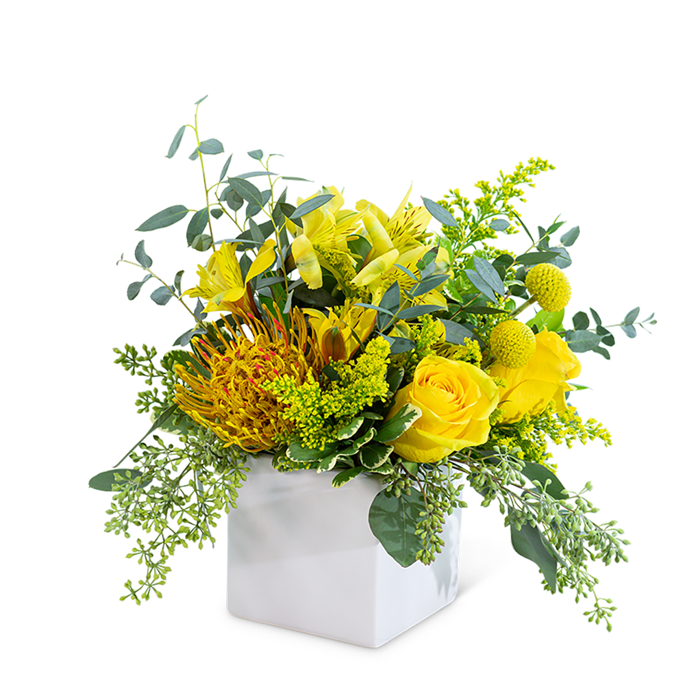 Radiance Radiance - Radiance is the perfect design for a housewarming, birthday, or get well gift. This magnificent and bright design is thoughtfully arranged with yellow roses, alstroemeria, pincushion protea, Craspedia, and solidago, accented with varieties of eucalyptus. This beauty is sure to make someone's week, as it will have long-lasting blooms, brightening their home or office space.