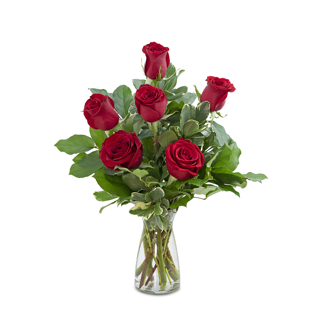 Red Roses (6) - Red roses have always been the symbol of love and romance, and continue to be the best way to send your love. Express your feelings with these half dozen charming red roses, complemented with premium foliage. Say I love you with this classically simple and romantic gift.
