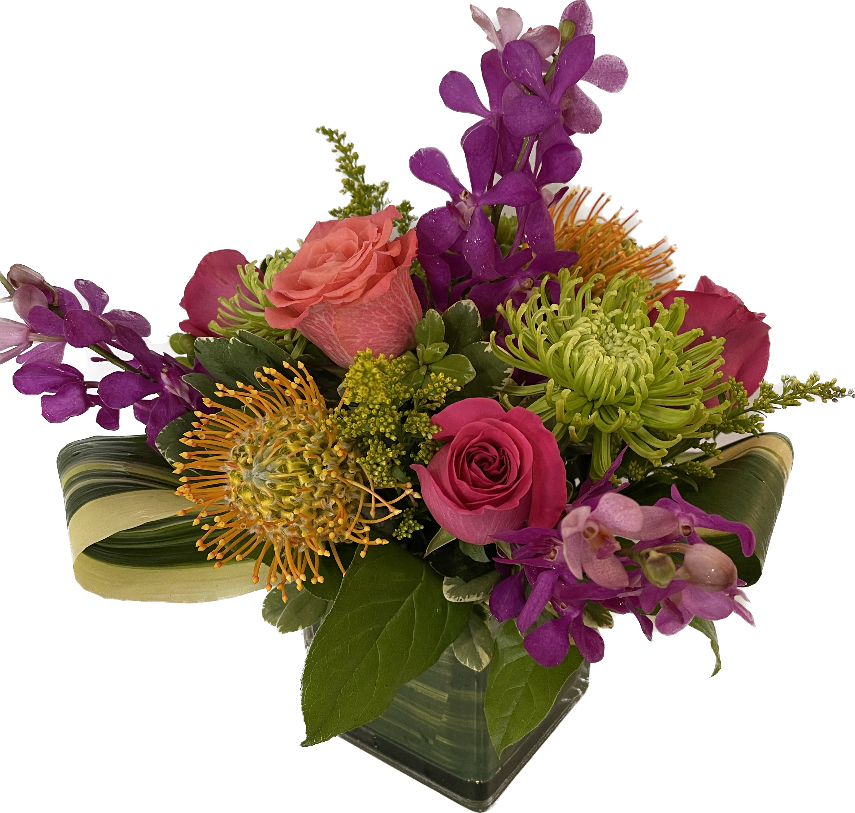 ROXY ROXY - Punchy colorful arrangement with roses, pin cushions, fuji mums accented with gorgeous fushia mokara in a leaf lined 5x5 glass cube.