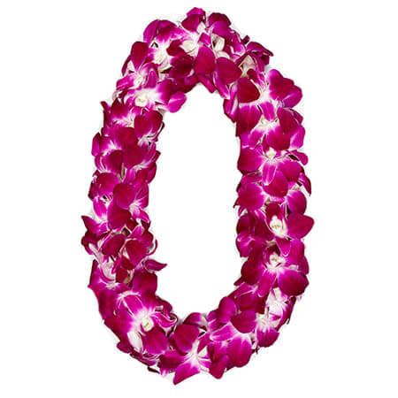 DOUBLE BOMBAY LEI (CLU) DOUBLE BOMBAY LEI (CLU) - DOUBLE STRAND OF PURPLE (BOMBAY) DENDROBIUM ORCHIDS LEI - CMC