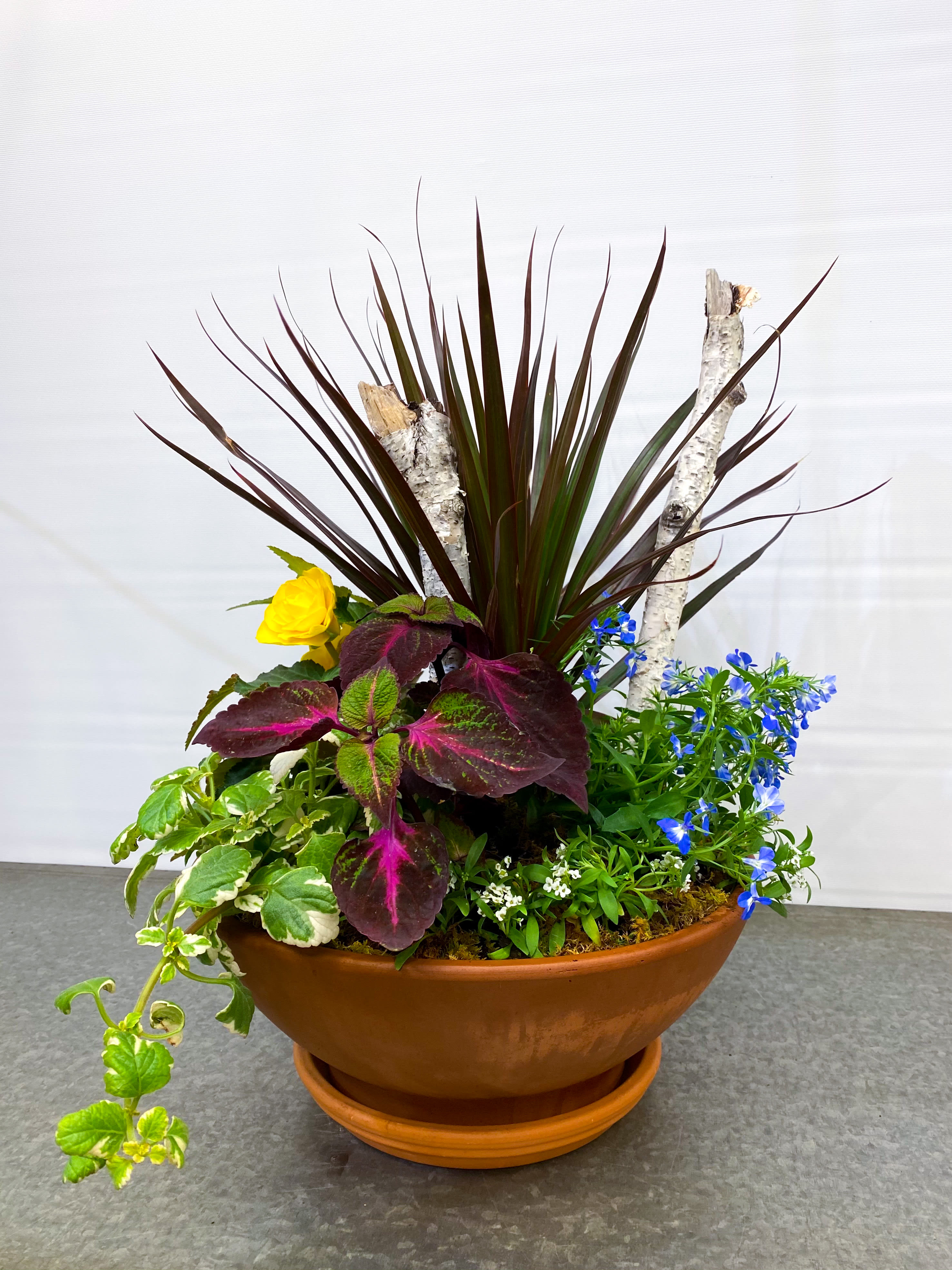 Part-Shade Outdoor Planter - The perfect porch planter! Included is a mixture of  part-shade annuals, that with proper care will last you all summer long. Planted in a round terracotta container, accented with birch poles and sheet moss. Place in a shaded area, and water regularly.  Planter measures approximately 14&quot; x 14&quot; wide, and 21&quot; tall.