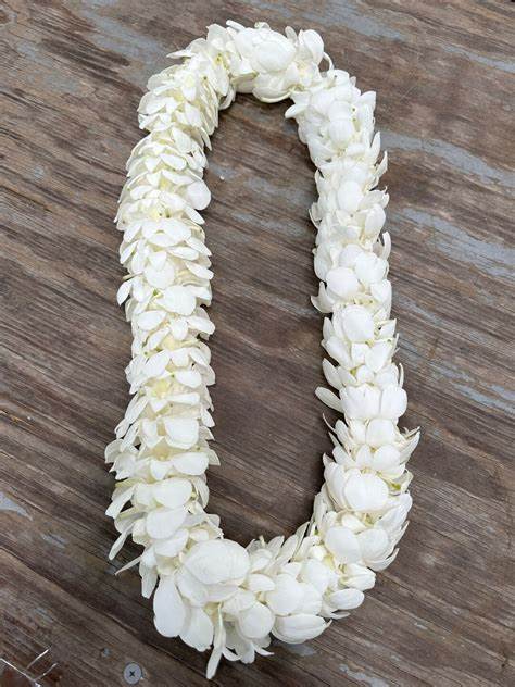 Double white dendrobium orchid Lei Double white dendrobium orchid Lei - large double bloomed white orchid lei with premium blooms thick and full perfect for graduation and summer parties!