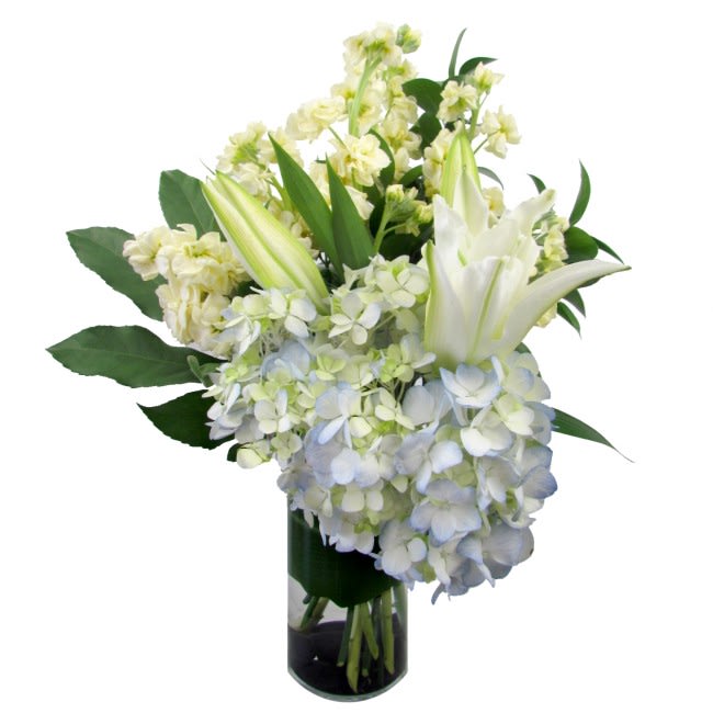 Daydream Believer - Believe it - blue flowers DO exist! The soft blue tones of the hydrangea flower create a dreamy, cloud-like backdrop for the crisp white Crystal Blanca Lilies and cream Stocks to shine. This clean and contemporary arrangement is a great gift to commemorate the birth of a newborn baby boy, for the man in your life who loves flowers, or simply just because. Standard size is approximately 12in (W) x 17in (H). Deluxe and Premium versions are larger and feature more blooms and larger glass vases.  Standard (Stem Count) - 5 Stocks, 1 Hydrangea, 1 Crystal Blanca Lily, Aralia Leaf and Fresh Garden Greens - 4in (W) Cylinder Vase  Deluxe (Stem Count) - 7 Stocks, 2 Hydrangea, 2 Crystal Blanca Lily, Aralia Leaf and Fresh Garden Greens - 6in (W) Cylinder Vase  Premium (Stem Count) - 10 Stocks, 3 Hydrangea, 3 Crystal Blanca Lily, Aralia Leaf and Fresh Garden Greens - 6in (W) Cylinder Vase  Care Tips: Place your bouquet in a cool location. Don't put the arrangement in direct sunlight, near heating or cooling vents, in drafty places, directly under ceiling fans, or on top of televisions or radiators. Check water level daily, keep the vase full with clean water. Change water every 2-3 days and apply a sharp fresh cut to the stems. This process will ensure extended flower's life span.