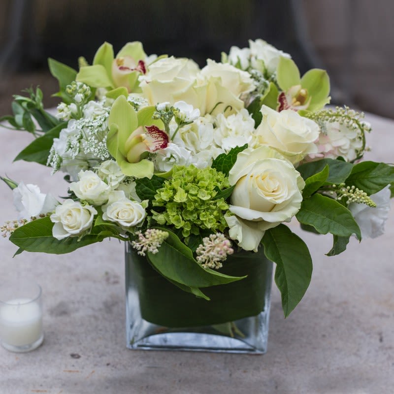 Jade Jade - Mixed floral arrangement with white roses and cymbidium orchids, resting in a low glass modern vase perfect for all. Some florals are seasonal, if particular flower will not be available due to season, we will substitute for similar flower, composition, color pallet and value of the arrangements as closely as possible. All effort to create a floral arrangement as close to the photo shown, the actual arrangement may vary slightly in its appearance from the photo shown. If you have any questions about your order, we welcome you to call us in or email