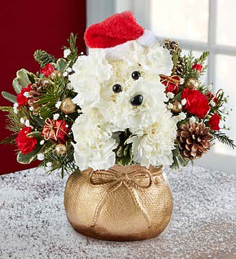 CHRISTMAS PAWS CHRISTMAS PAWS - SANTAS SPECIAL DEL;IVERY OF AN ADORABLE CARNATION PUPPU DELIOVERED IN SANTAS SACK