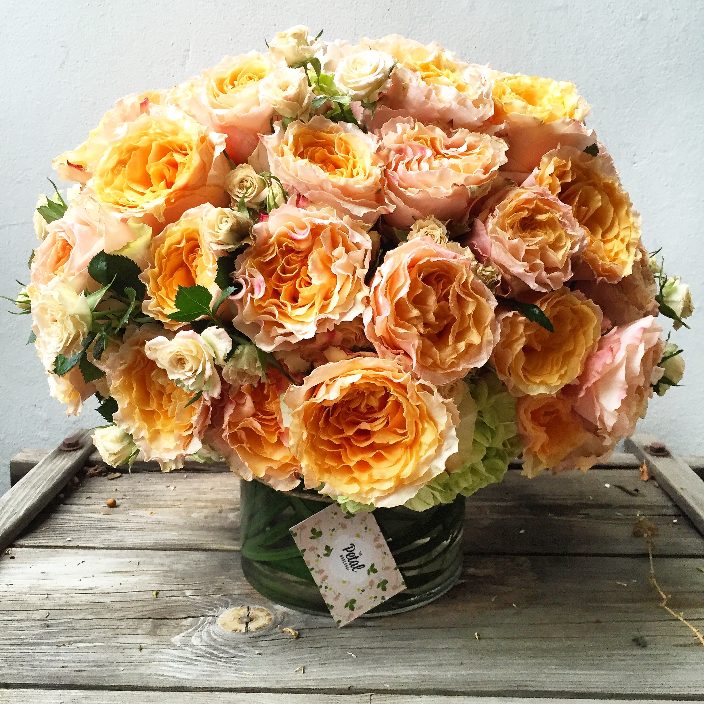The Got To Have It Arrangement. The Got To Have It Arrangement. - Over 2 dozen of these, special & one-of-a-kind "Got To Have" Peach Campanela Garden Roses combined with Gentile & Lovely Peach Spray Roses and Lime Green Hydrangea in a Lily Grass wrapped Cylinder Vase. PLEASE NOTE: a 24 hour notice is in order as these Divas extra time aka sometimes they are just not avail in the market so we would need to pre-order:))