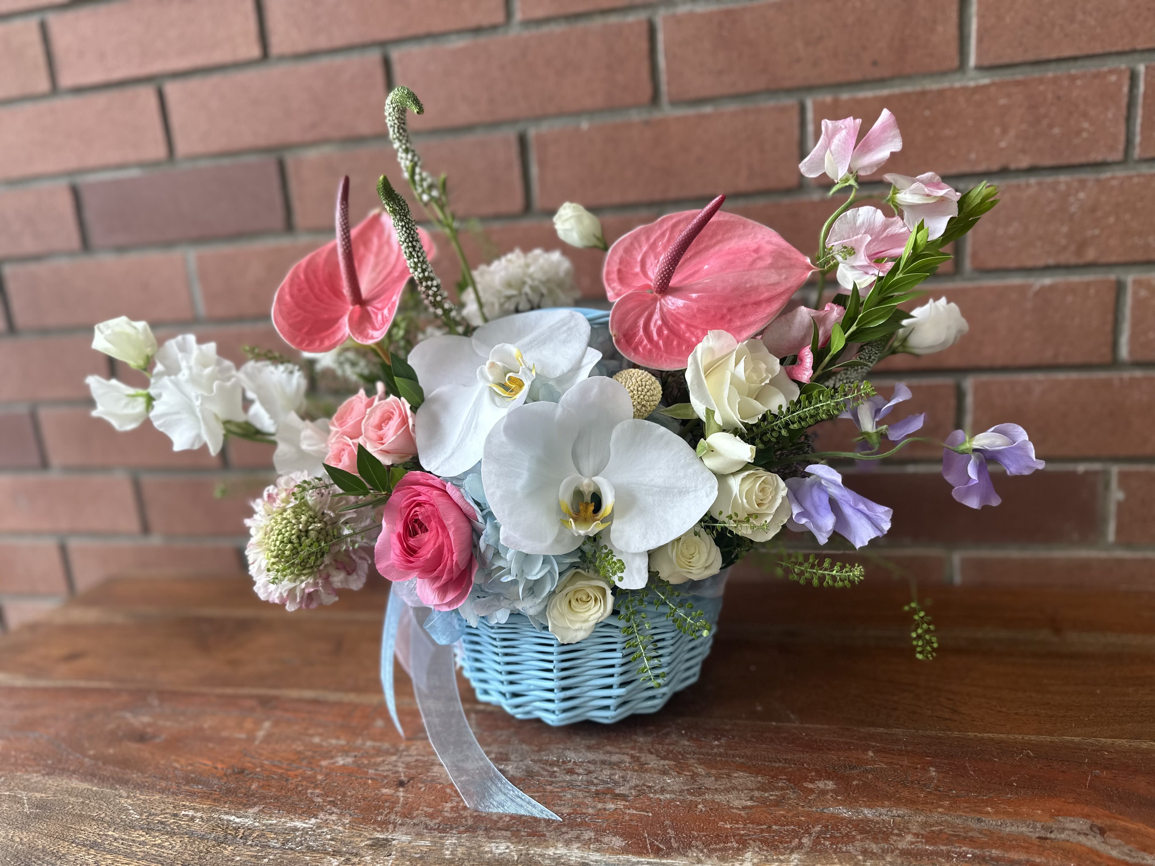Tropical Elegant Basket Of Blooms Tropical Elegant Basket Of Blooms - Send a beautiful exotic basket of tropical orchids and anthuriums paired with lush sweet peas, blue hydrangea, spray roses, lisianthus, ranunculus, scabiosa and other filler flowers and greenery - in a blue basket with blue ribbons.