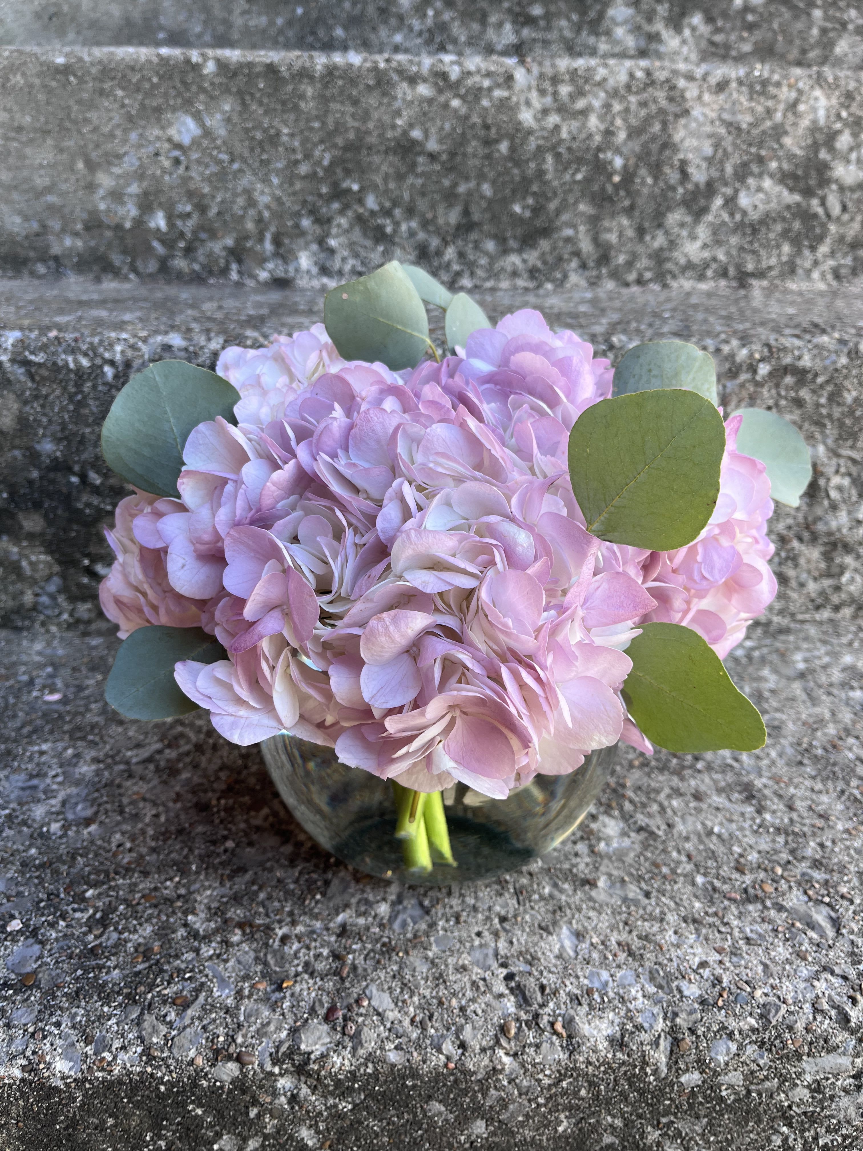 Purple Pastel Purple Pastel - This arrangement has hydrangeas and silver dollar eucalyptus in a 6 inch bubble bowl.