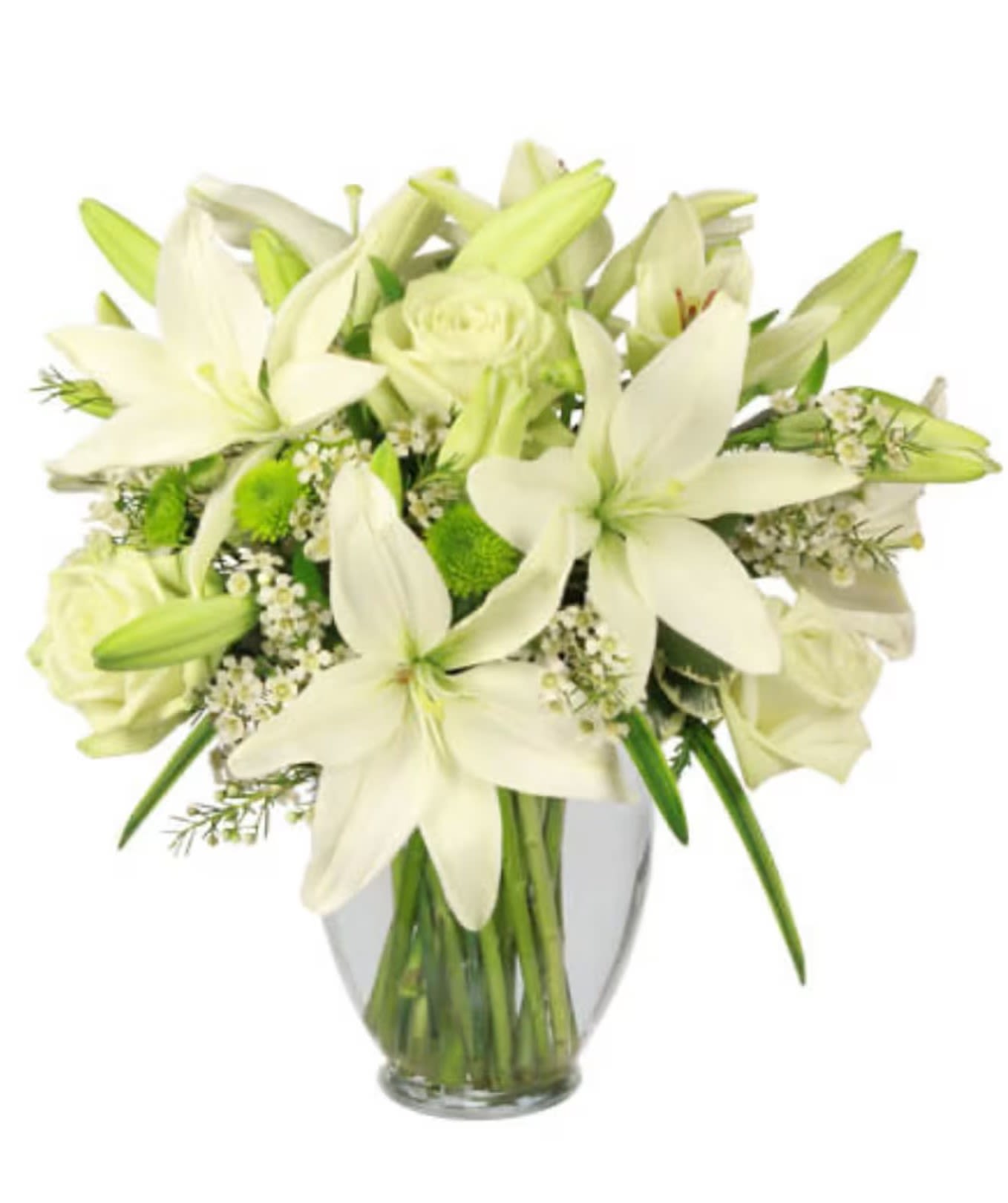 SIMPLICITY ARRANGEMENT - Pretty and delicate, this arrangement exemplifies the feelings of purity and peace. With white lilies, pale green roses, white waxflowers, and green button poms, Simplicity is an entrancing beauty full of grace. You can't go wrong with an arrangement this tasteful!  Includes: Ginger Vase, Foliage: Variegated Pittosporum, Variegated Liriope, White Lilies, Pale Green Roses , Green Button Poms , White Waxflower.