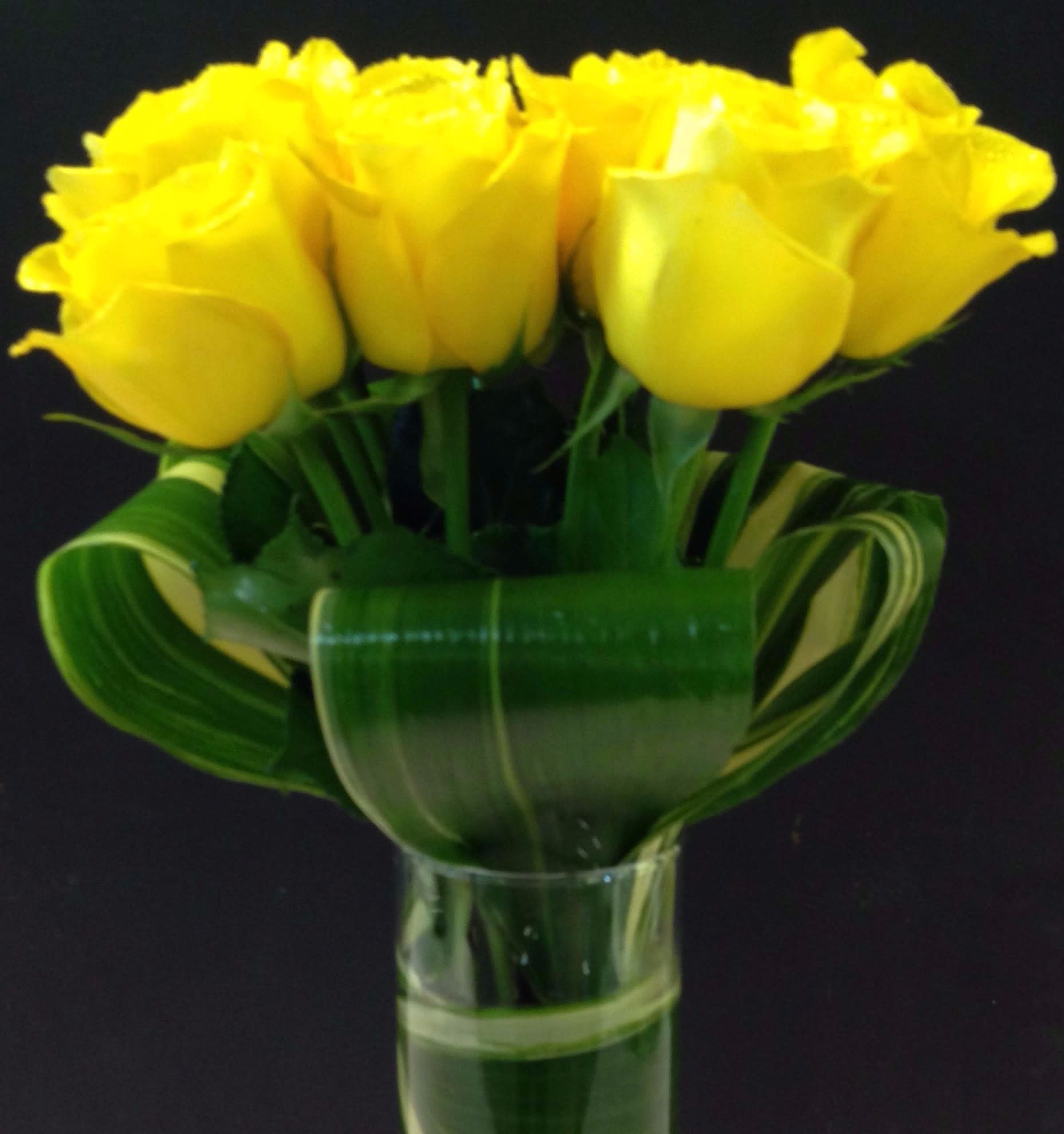 Sleek European  Rose Arrangement   -  Long Stemmed Roses tightly arranged in a Cylinder vase.. Arrangement can be done in One Color or Multiple Color Roses.  Call Ahead for Your Desired  Rose Color. (908-234-2900) or add to special instructions.
