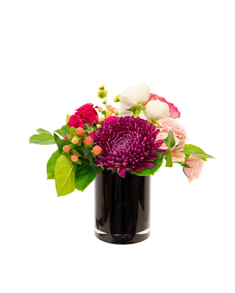 Pretty-N-Petite - Make a bold statement with this chic floral arrangement featuring a striking purple chrysanthemum, delicate roses, and vibrant berry accents. Arranged in a sleek black glass vase, it adds a modern touch of elegance to any setting.