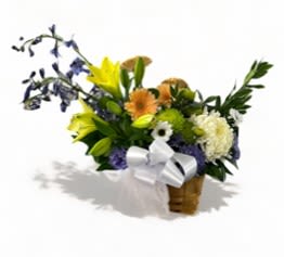 Gentle Embrace Basket - The &quot;Gentle Embrace&quot; is a beautifully crafted basket arrangement designed to bring warmth and serenity to any occasion, whether it be a simple gesture of kindness or a heartfelt expression of sympathy. This elegant display features a harmonious blend of fresh blooms that create a comforting and uplifting atmosphere.  Presented in a charming, handled basket, the &quot;Gentle Embrace&quot; arrangement is easy to carry and display, making it an ideal gift for friends, loved ones, or anyone in need of a little extra comfort. Each thoughtfully selected flower is meticulously arranged to ensure a stunning visual impact that conveys care and affection.