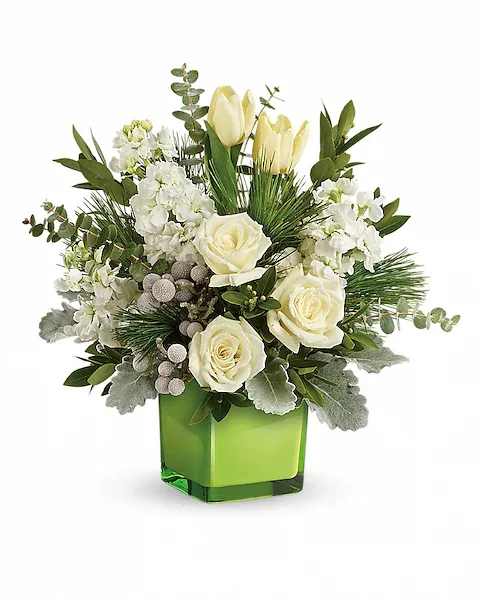 WINTER POP  - A stylish pop of winter style, this snow-white bouquet in a fresh green cube dresses up any occasion! White roses, tulips and stock with silver brunia are arranged with dusty miller, spiral eucalyptus, parvifolia eucalyptus, and white pine. Delivered in Leaf Color Splash cube. One-Sided
