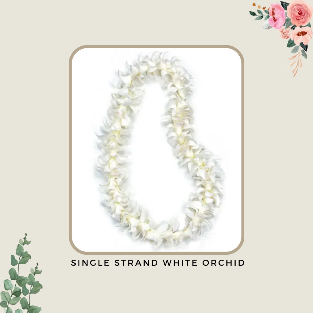 Single strand white orchid lei - Single strand white orchid lei
