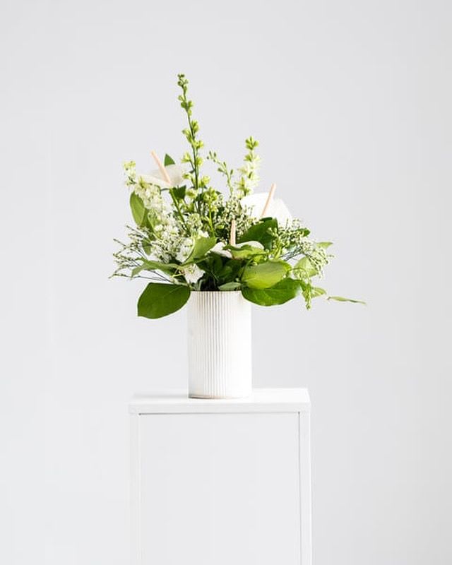 Textural Whites - Designer’s Choice Fresh Cut Arrangement - If you’d love to send a message of peace, love, and sympathy… or just send flowers to the recipient who loves white, this designer’s choice is for you. Our design team will take the freshest, long-lasting flowers we have and create a beautiful, textural white composition, with a bit of complimentary green or soft colors to make the white pop. Please indicate if you’d like specific flowers to be used- our shop will do our best to accommodate.