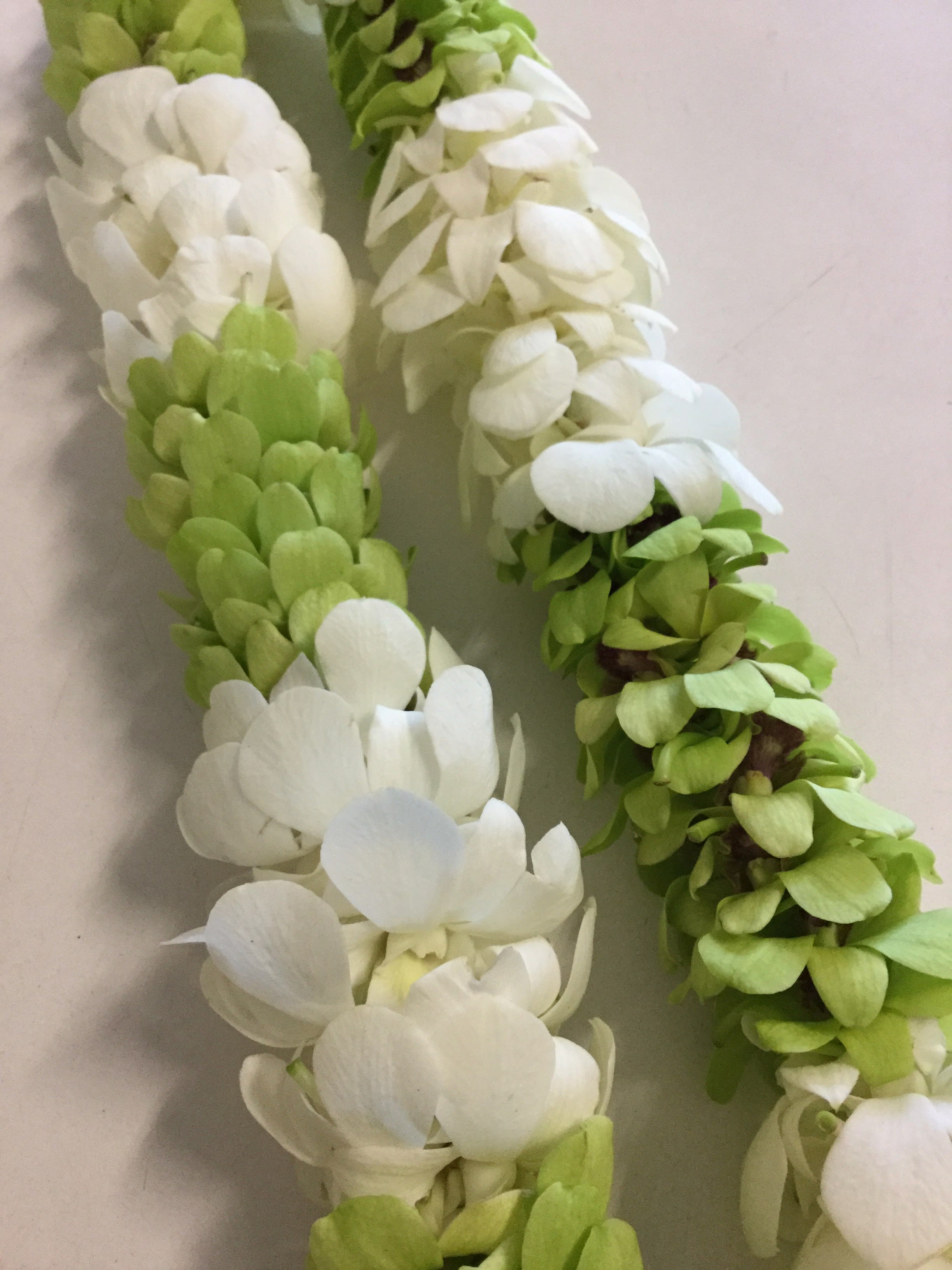 green and white green and white - Oncidium orchid lei