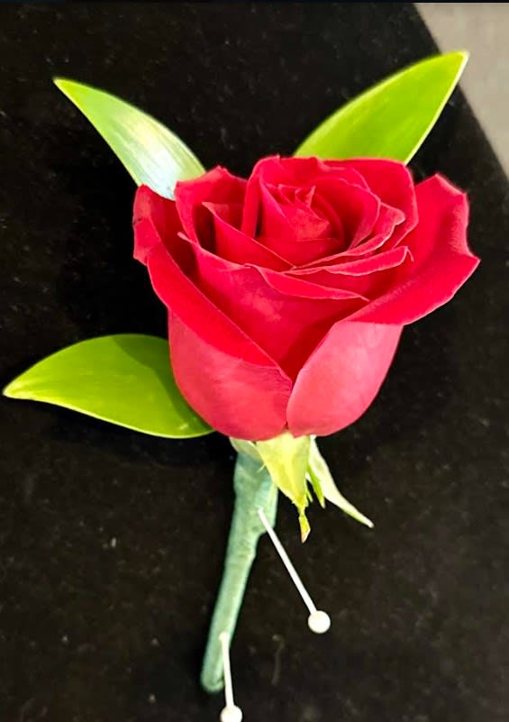 Red Rose Boutonniere Red Rose Boutonniere - Add a touch of sophistication to your attire with our classic red rose boutonniere, versatile enough to pair with any suit or tuxedo. All Stems are wrapped in green florist tape.