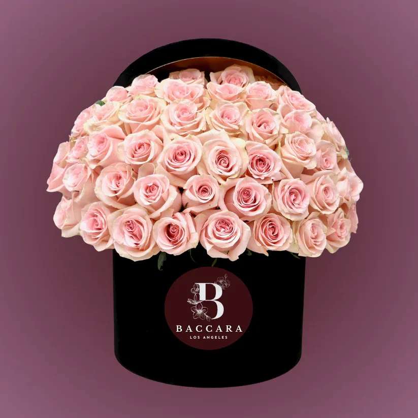 Blush Elegance: Pink Flower Box Blush Elegance: Pink Flower Box - A timeless expression of grace and tenderness, our Blush Elegance Flower Box features fresh, hand-selected pink blooms beautifully arranged in a chic, modern box. Perfect for birthdays, anniversaries, thank-you gifts, or simply to brighten someone’s day, this arrangement radiates charm and warmth. Choose your desired size — whether it’s a delicate handful or a luxurious, full arrangement. Each bloom is carefully picked for its soft blush hue and lasting freshness, creating a beautiful and meaningful gift. Highlights: Handpicked, premium pink flowers beautifully presented in a box Available in multiple sizes to suit any occasion Perfect for romantic moments, celebrations, or thoughtful surprises Optional personalized message card and elegant wrapping Let the soft beauty of pink blooms deliver your message with grace and style. Disclaimer: Product images are for reference only. Actual flower shades, box colors, and arrangement styles may vary slightly based on seasonal availability and stock. We always strive to match the overall style, color palette, and quality shown in the photos, ensuring every arrangement is fresh, beautiful, and thoughtfully curated.