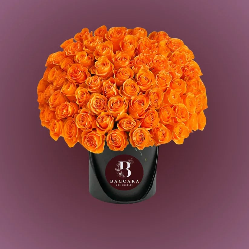 Sunset Charm: Orange Rose Box Sunset Charm: Orange Rose Box - Radiating warmth, joy, and a touch of bold elegance, our Sunset Charm Rose Box features a stunning arrangement of vibrant orange roses. Symbolizing enthusiasm, passion, and heartfelt wishes, this chic box of fresh blooms is perfect for birthdays, celebrations, housewarmings, or simply to brighten someone’s day. Each rose is hand-selected for its rich, fiery hue and velvety petals, carefully arranged in a stylish, modern box that makes an unforgettable statement. A perfect blend of contemporary design and natural beauty. Highlights: Handpicked, premium orange roses beautifully arranged in a luxe box Fresh, lively blooms perfect for joyful occasions or spontaneous surprises Optional personalized message card included Available in multiple sizes — pick the quantity that suits you best Light up their world with the radiant glow of fresh orange roses, beautifully boxed and ready to impress. Disclaimer: Product images are for reference only. Actual flower shades, box colors, and arrangement styles may vary slightly based on seasonal availability and stock. We always strive to match the overall style, color palette, and quality shown in the photos, ensuring every arrangement is fresh, beautiful, and thoughtfully curated.