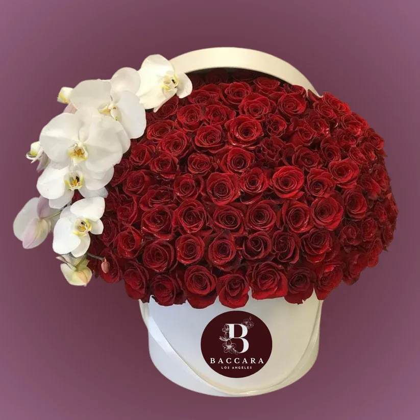Crimson & Ivory Elegance: Red Roses and White Orchid Box Crimson & Ivory Elegance: Red Roses and White Orchid Box - Immerse yourself in the timeless allure of our Crimson & Ivory Elegance Flower Box, a harmonious blend of passion and sophistication. This exquisite arrangement features lush red roses paired with delicate white orchids, symbolizing love and grace. Perfect for expressing heartfelt emotions, this luxurious box is designed to leave a lasting impression. Disclaimer: Product images are for reference only. Actual flower shades, box colors, and arrangement styles may vary slightly based on seasonal availability and stock. We always strive to match the overall style, color palette, and quality shown in the photos, ensuring every arrangement is fresh, beautiful, and thoughtfully curated.